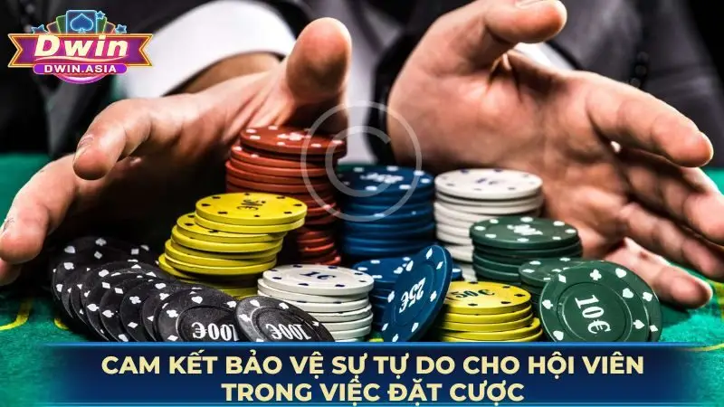Cam kết bảo vệ sự tự do cho hội viên trong việc đặt cược