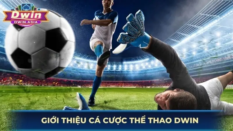 Giới thiệu cá cược thể thao Dwin